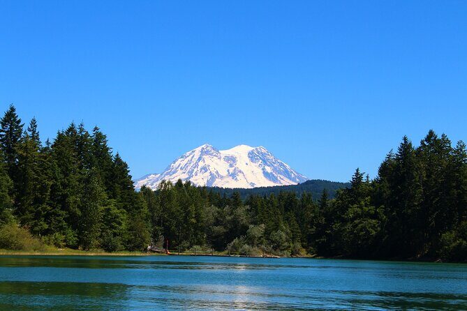 From Seattle:Hiking in Mount Rainier Private Tour - Good To Know