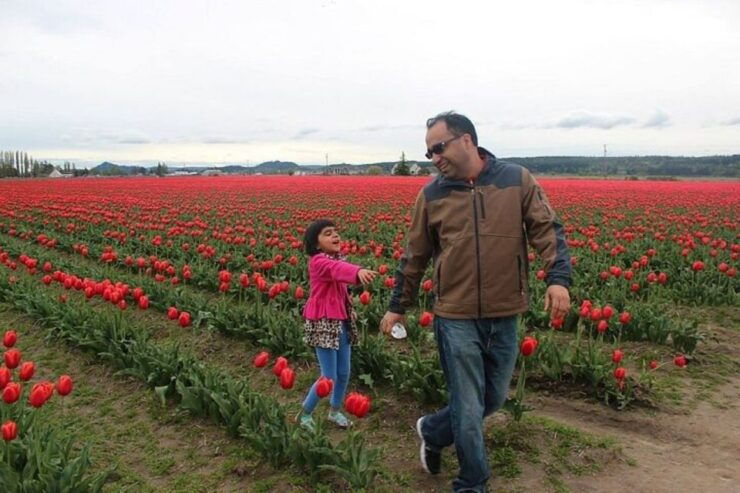 From Seattle:Tulip Festival at Skagit Valley and La Conner - Exploring the Charm of Skagit Valley
