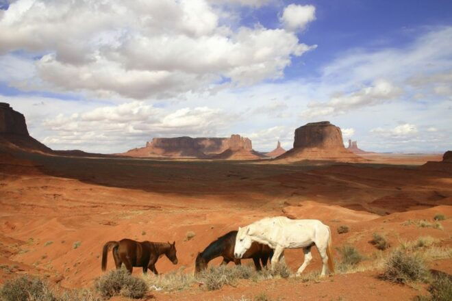 From Sedona or Flagstaff: Full-Day Monument Valley Tour - Common Questions