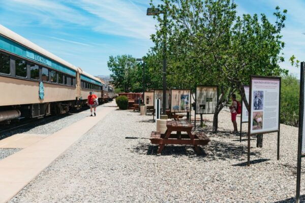 From Sedona: Sightseeing Railroad Tour of Verde Canyon - Customer Reviews
