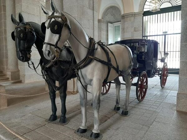 From Segovia. Royal Sites of Riofrío and La Granja. - Frequently Asked Questions