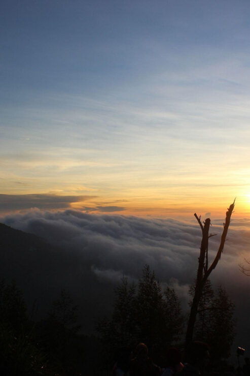 FROM SEMARANG: TRIP TO DIENG SUNRISE/CRATER/COLOR LAKE VIEW - Key Points