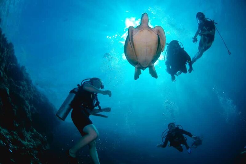 From Semporna: 3-Dive Leisure Underwater Diving Explorations - Diving Configurations and Practicalities