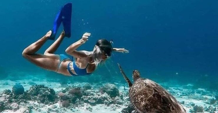 From Senggigi: Gili Islands Private Snorkeling Tour - Tour Overview