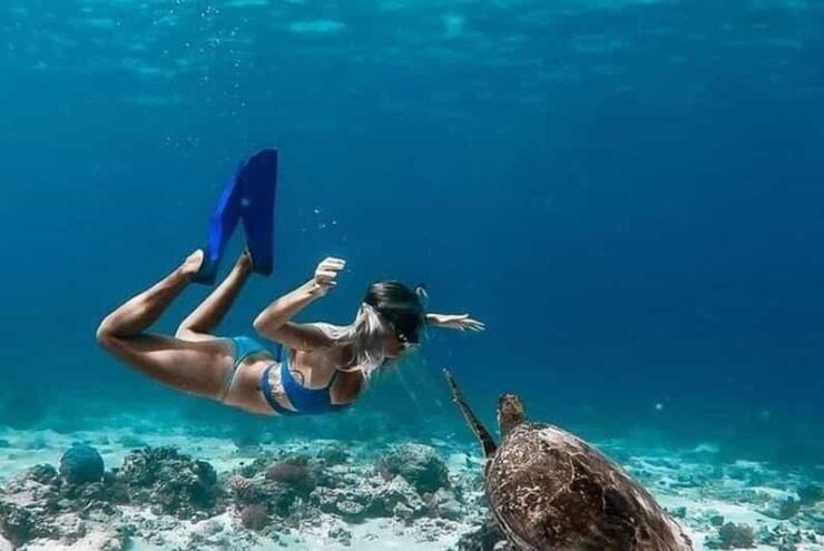 From Senggigi: Gili Islands Private Snorkeling Tour - Highlights of the Tour