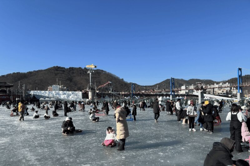 From Seoul: 2026 Hwacheon Sancheoneo Ice Festival Day Tour - Who is this tour best for?