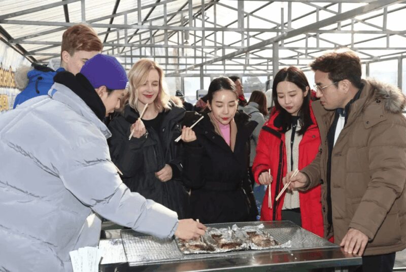 From Seoul: 2026 Hwacheon Sancheoneo Ice Festival Day Tour - Who This Tour Is Best Suited For