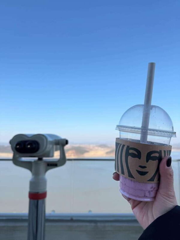 From Seoul: Aegibong Starbucks Observatory & DMZ View - Exploring the Tour Itinerary in Detail