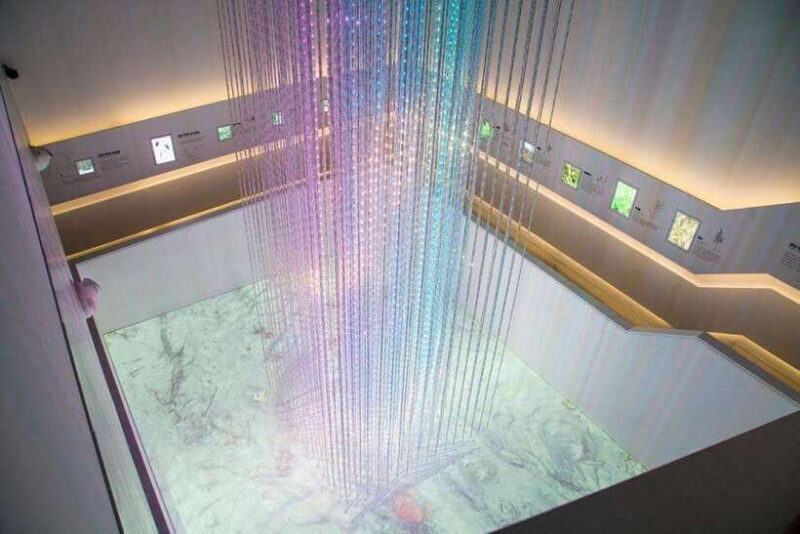 From Seoul: Aegibong Starbucks Observatory & DMZ View - Who Is This Tour Best For?