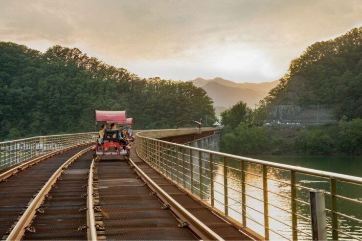 From Seoul: Alpaca Farm Visit With Luge Racing or Rail Bike - General Information