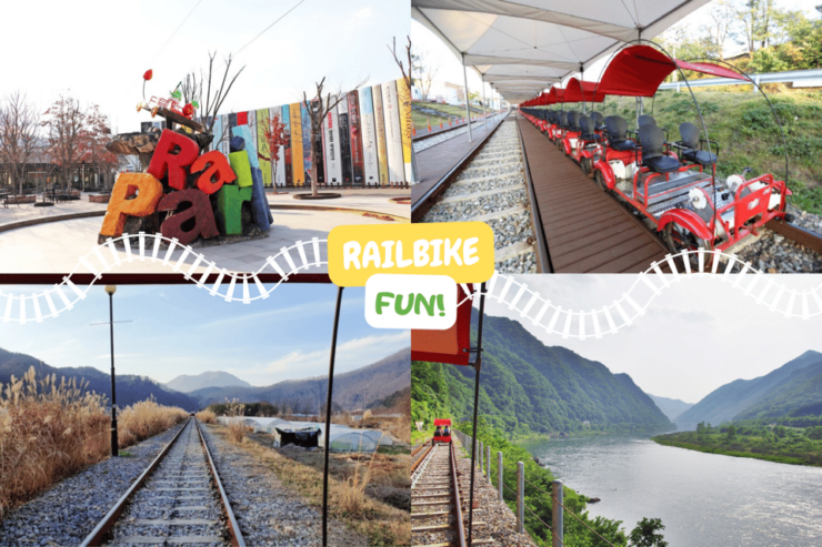 From Seoul: Alpaca Farm With Rail Bike/ Luge Racing - Itinerary and Locations