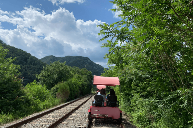 From Seoul: Alpaca Farm With Rail Bike/ Luge Racing - Pricing and Reservations