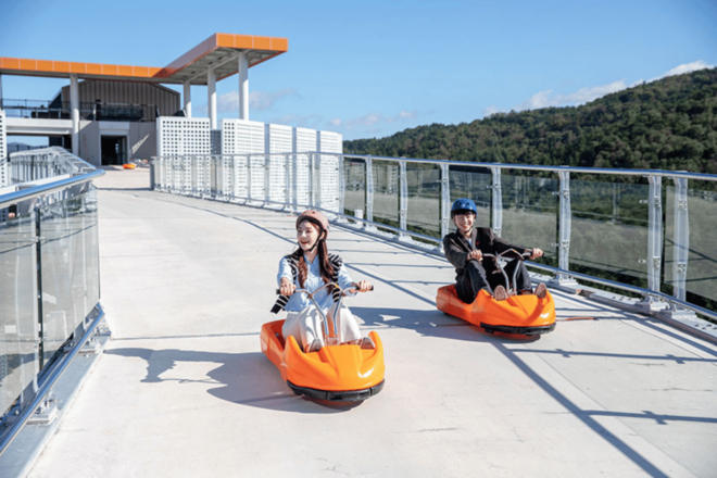 From Seoul: Alpaca Farm With Rail Bike/ Luge Racing - Important Information