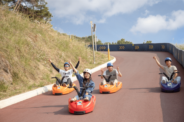 From Seoul: Alpaca Farm With Rail Bike/ Luge Racing - Getting to Alpaca World