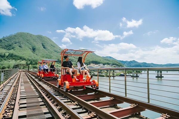 From Seoul: Alpaca Farm With Rail Bike/ Luge Racing - What to Expect