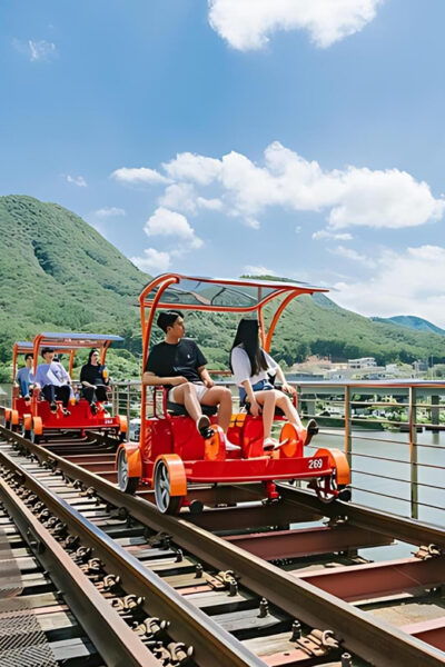 From Seoul: Alpaca Farm With Rail Bike/ Luge Racing - Tips for Your Visit