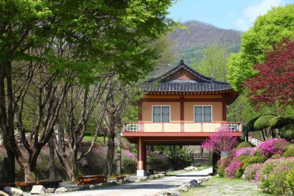 From Seoul: Autumn Instagrammable Tour - Questions You May Have