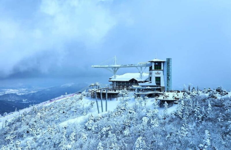 From Seoul: Balwangsan Cable Car and Daegwallyeong Ranch - Final Thoughts: Is This Tour Worth It?