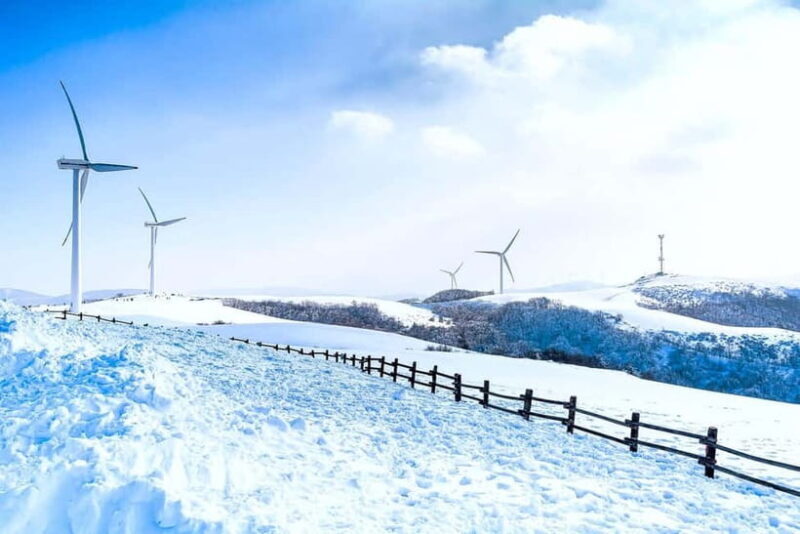 From Seoul: Balwangsan Cable Car and Daegwallyeong Ranch - FAQ