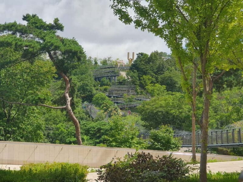 From Seoul: Closest Observatory to DMZ (Starbucks Tour) - The Sum Up