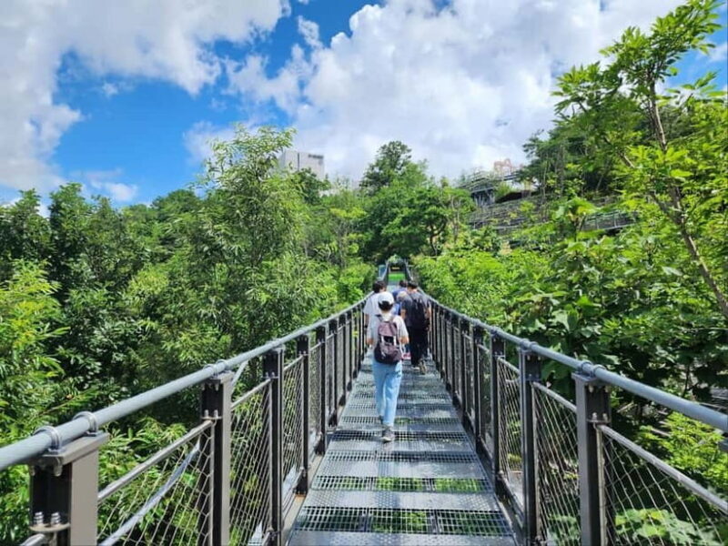 From Seoul: Closest Observatory to DMZ (Starbucks Tour) - What to Expect on This Tour