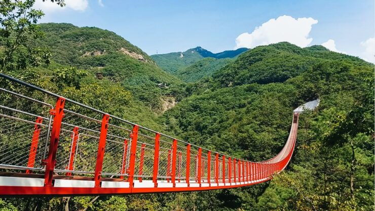 From Seoul: DMZ, 3rd Tunnel & Suspension Bridge Guided Tour - Tour Highlights