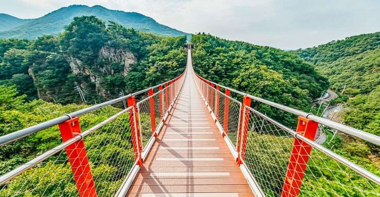 From Seoul: DMZ, 3rd Tunnel & Suspension Bridge Guided Tour - Tour Duration and Language Options