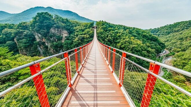 From Seoul: DMZ, 3rd Tunnel & Suspension Bridge Guided Tour - Tour Itinerary
