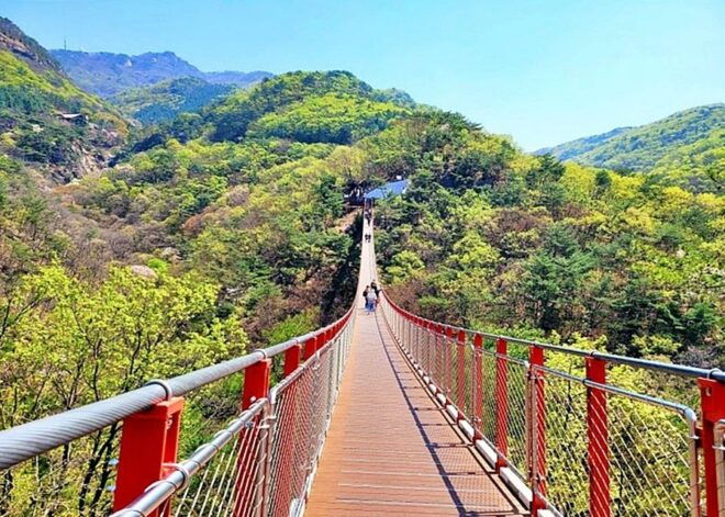 From Seoul: DMZ Half or Full-Day Guided Day Trip - Review 2