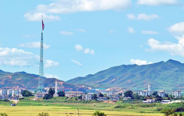 From Seoul: DMZ Half or Full-Day Guided Day Trip - Common Questions
