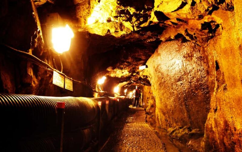 From Seoul: DMZ Tour & North Korean Defector Talk - Who Will Love This Tour?