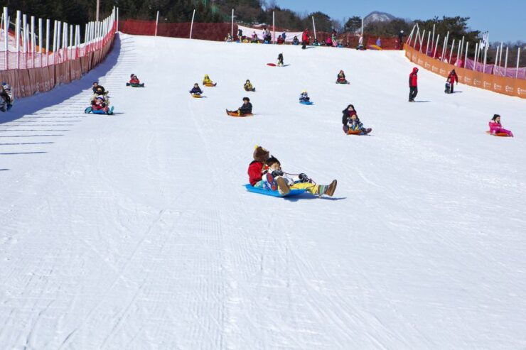 From Seoul: Elysian Gangchon Ski Resort Winter Fun Day Tour - Experience at Elysian Gangchon Ski Resort