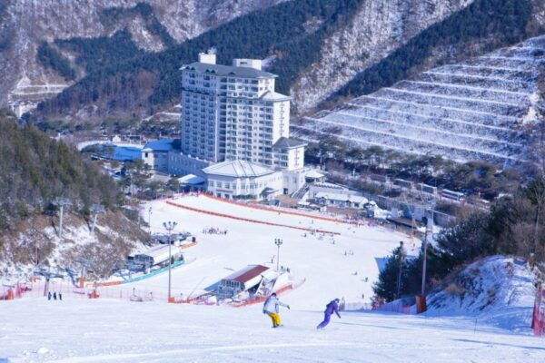 From Seoul: Elysian Gangchon Ski Resort Winter Fun Day Tour - Common Questions