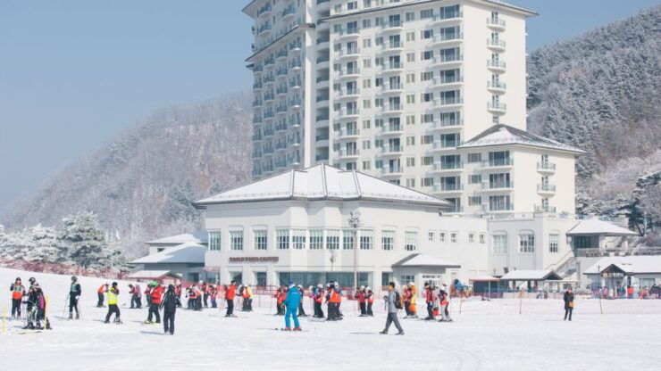 From Seoul: Elysian Gangchon Ski Tour With Nami Island - Experience
