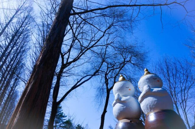 From Seoul: Elysian Gangchon Ski Tour With Nami Island - Booking Details
