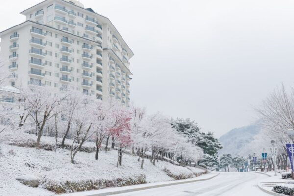 From Seoul: Elysian Gangchon Ski Tour With Nami Island - Safety Precautions and Recommendations