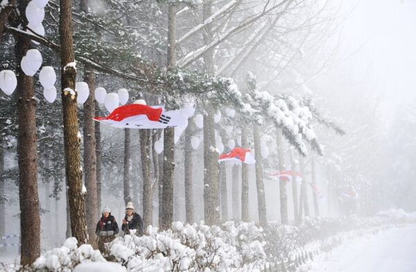 From Seoul: Elysian Gangchon Ski Tour With Nami Island - Common Questions