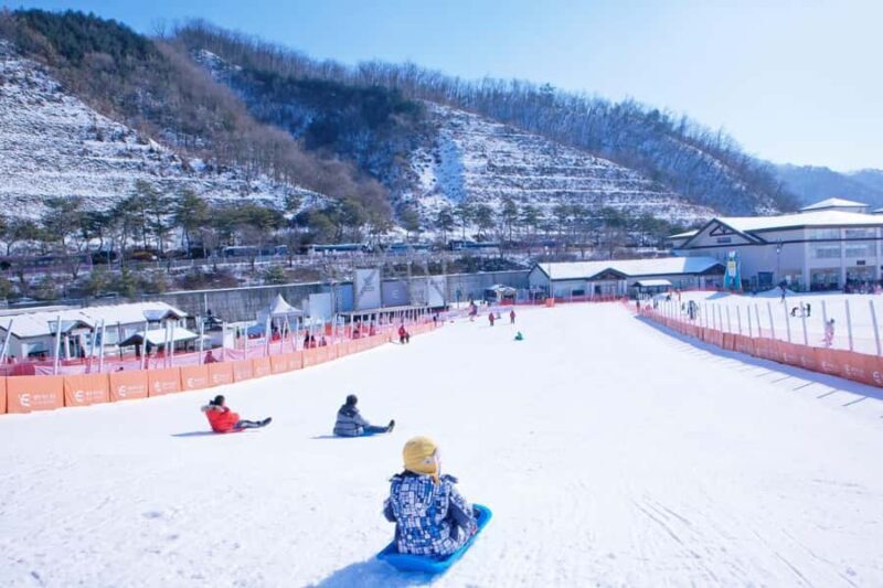 From Seoul: Elysian Ski Resort One Day Tour - A Close Look at the Experience