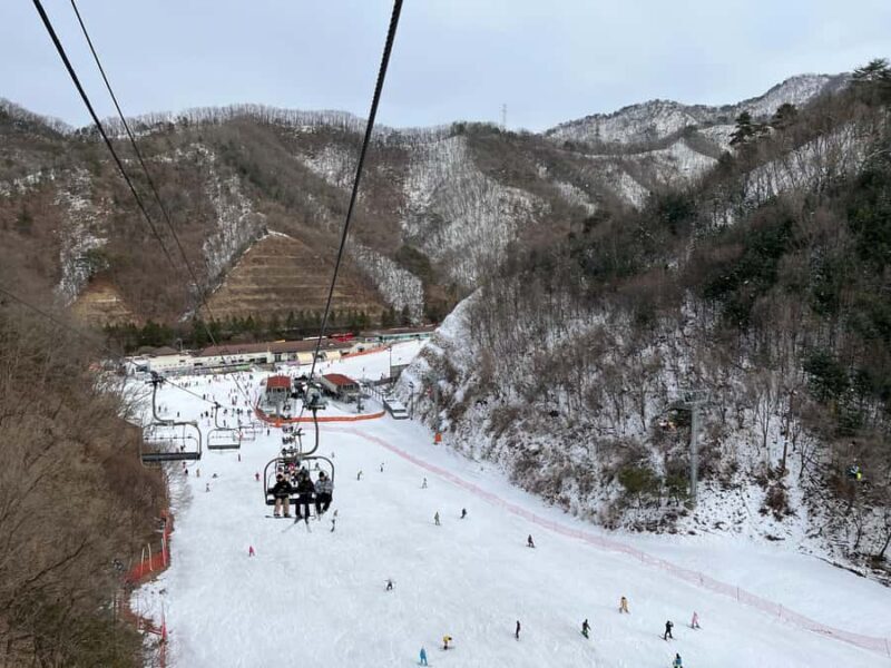 From Seoul: Elysian Ski Resort One Day Tour - Good To Know