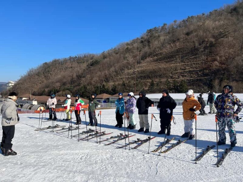 From Seoul: Elysian Ski Resort One Day Tour - Transportation and Logistics: Why They Matter