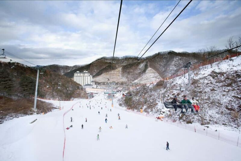 From Seoul: Elysian Ski Tour (Ski & Snowboard Full Package) - What You Need to Know Before Booking