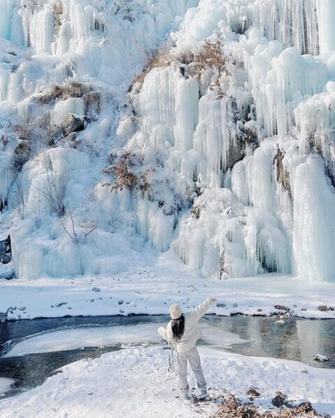From Seoul: Eobi Ice Valley and Nami Island - Booking Information