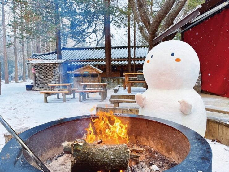 From Seoul: Eobi Ice Valley, Nami Island, Korean Garden - Starting Locations