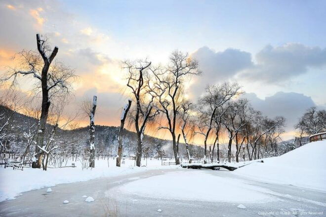 From Seoul: Eobi Ice Valley, Nami Island, Korean Garden - Nami Island