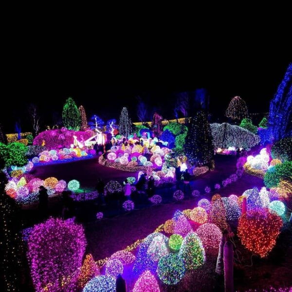 From Seoul: Eobi Ice Valley, Nami Island, Korean Garden - Travel Tips