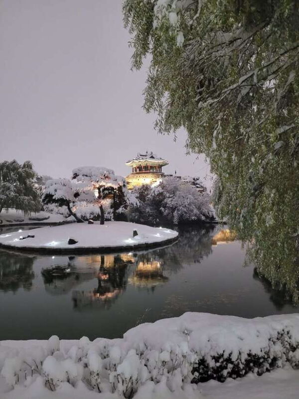 From Seoul: Evening Tour to UNESCO Suwon Hwaseong Fortress - The Experience in Detail