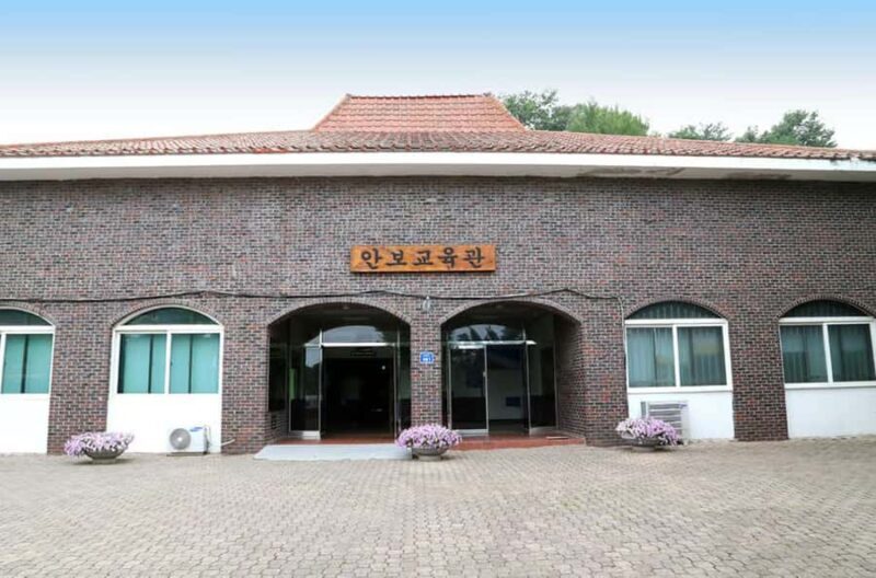 From Seoul: Full-Day Trip to Goseong DMZ & Kidult Museum - The Kidult Museum: Nostalgia and Culture