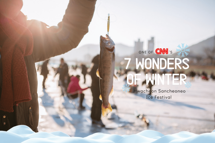From Seoul: Hwacheon Ice Fishing and Lighting Festival Tour - Itinerary and Activities
