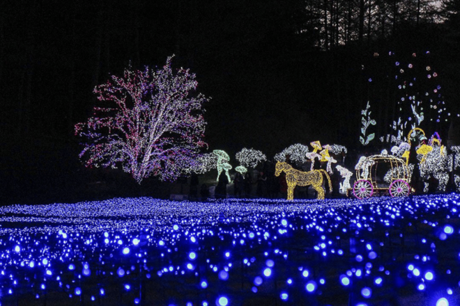From Seoul: Hwacheon Ice Fishing and Lighting Festival Tour - Inclusions of the Tour