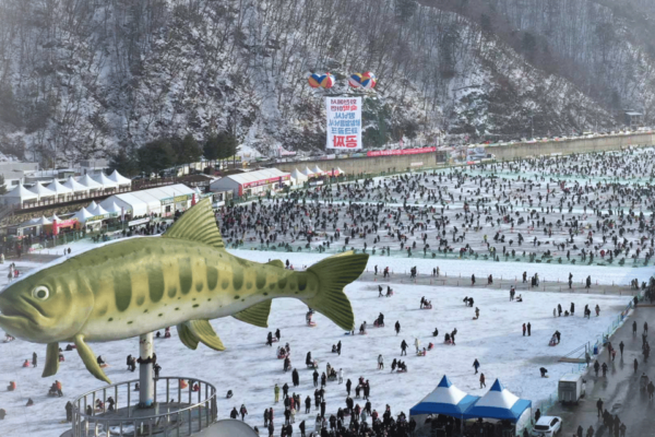 From Seoul: Hwacheon Ice Fishing and Lighting Festival Tour - Questions You May Have